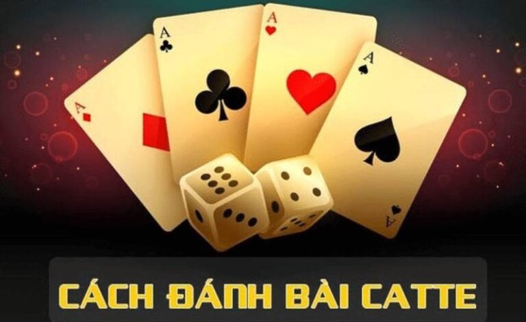 Catte Là Gì? Hướng Dẫn Chi Tiết Từ A Đến Z Cho Người Mới 19 Catte Là Gì? Hướng Dẫn Chi Tiết Từ A Đến Z Cho Người Mới